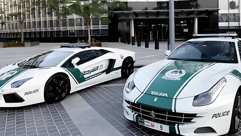 Dubai Police Launches Instant Online Travel
