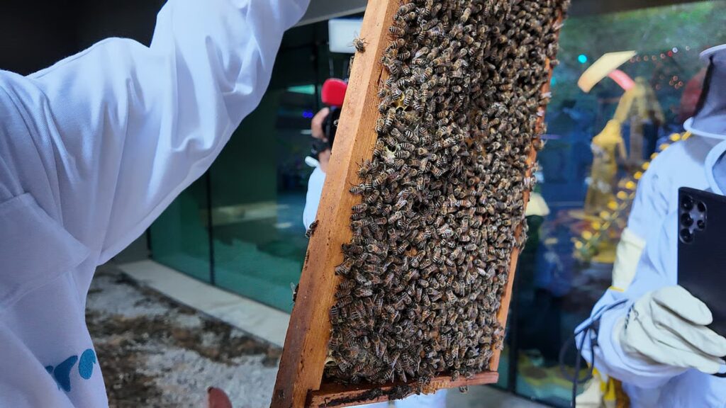 Bee Festival: Spotlight on Pollinators at Terra Garden