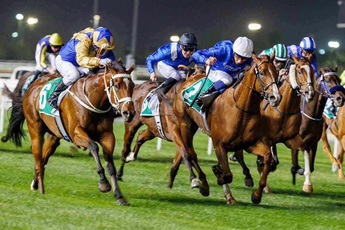 Dubai Horse Racing Legacy and Global Racing Influence