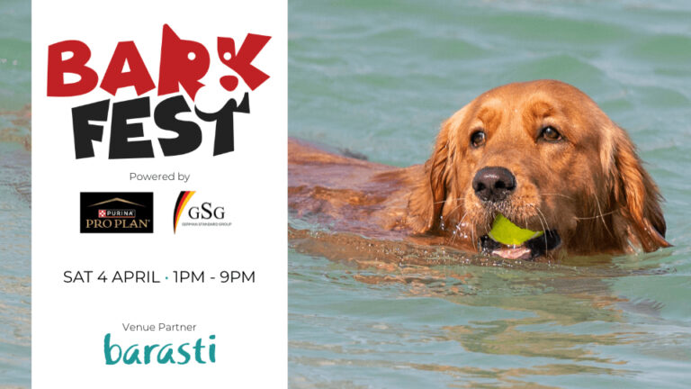 Barkfest Barasti Dubai 2026: The Ultimate Dog-Friendly Beach Festival